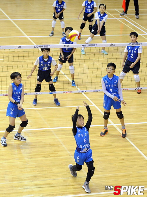 kovomu2-15121247.jpg