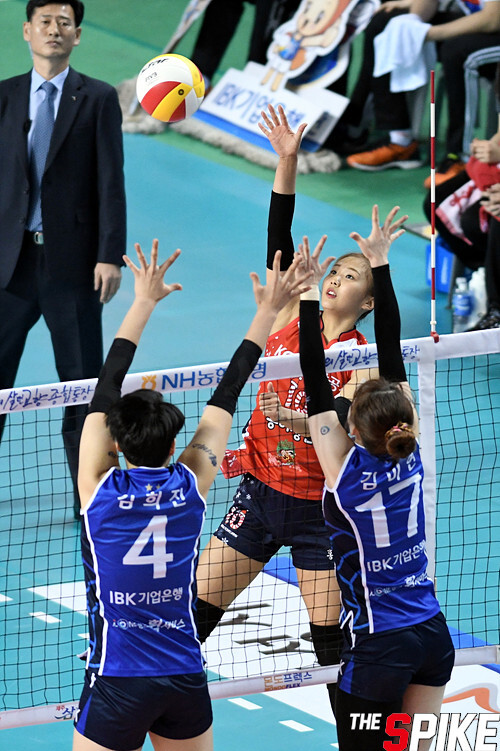 spike20161228-93.jpg
