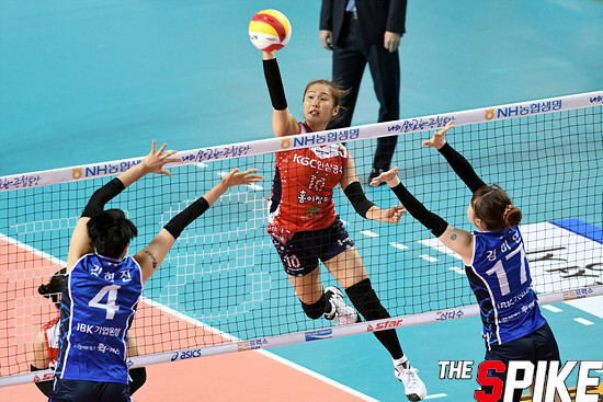 spike20161228-92.jpg