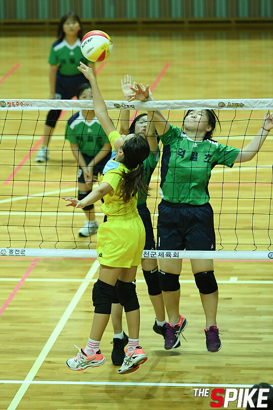 S180726YW101.jpg