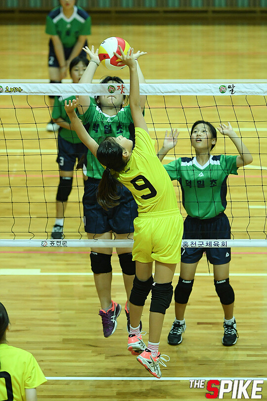 S180726YW127.jpg
