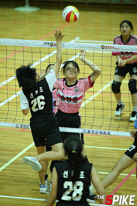 S180726YW139.jpg