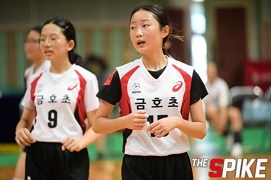 S180727YW61.jpg