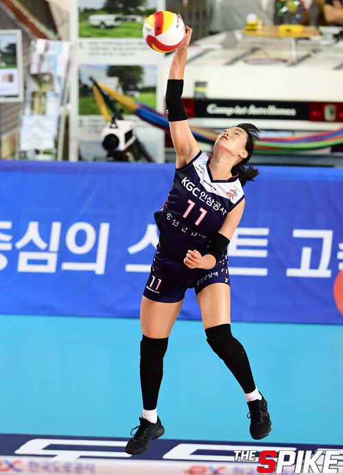 180805mkOVO29.jpg