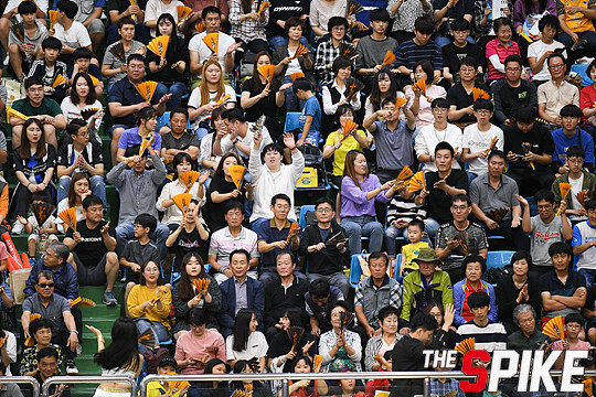 S180909YW309.jpg