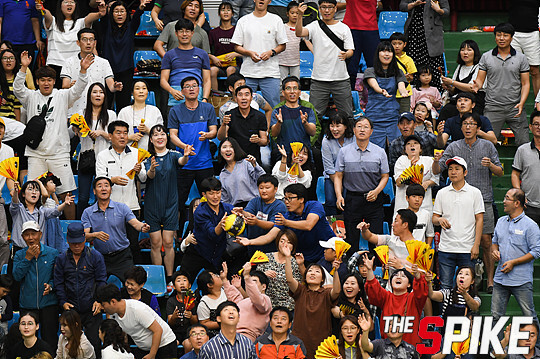 S180909YW637.jpg