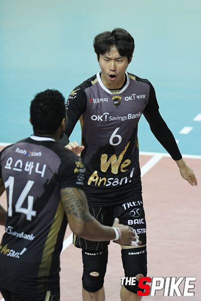 YYW9928_1.jpg